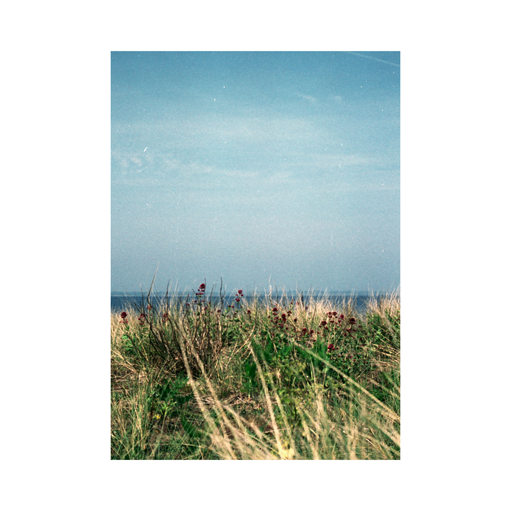 Background Motion album art